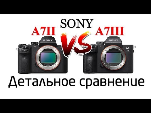 Видео: Sony A7II vs A7III Детальное сравнение Detailed Comparison