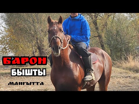 Видео: БАРОН