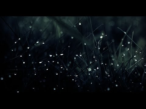 Видео: Богиня Кали, Стихия Тьма и работа с ними (Mylene Maelinhon)