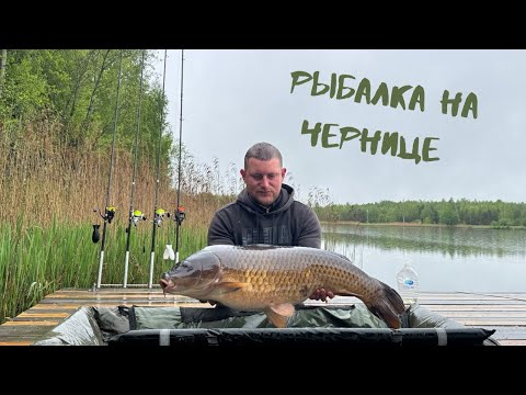 Видео: БЕШЕНЫЙ КЛЕВ КАРПА И АМУРА. РЫБАЛКА НА ОЗЕРЕ В ГЛУШИ БЕЗ СВЯЗИ! НЕ УСПЕВАЛИ ЗАБРАСЫВАТЬ УДОЧКИ!