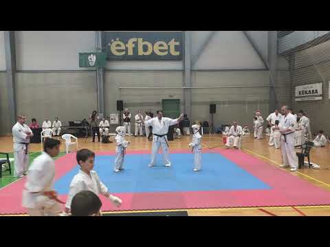 Видео: Боби Финал