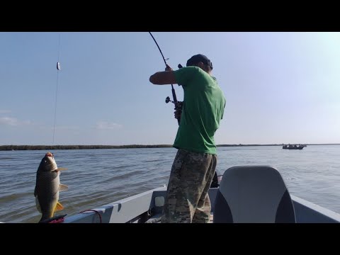 Видео: ОГРОМНЫЕ САЗАН БЕШЕННЫЙ КЛЕВ В ОКТЯБРЕ