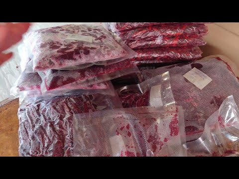 Видео: Заготовка свеклы на зиму. Храню только так.