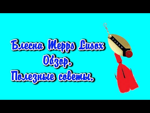 Видео: Блесна Mepps Lusox Обзор Полезные советы