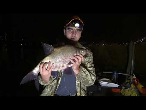Видео: Как правильно ловить леща на волос