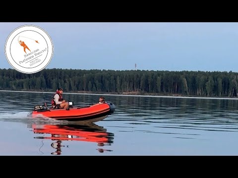 Видео: Рыбалка у острова Атамановский! Неожиданная новинка сезона — “Угорь” 🎣