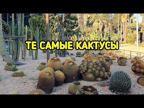 Видео: Сад кактусов в Барселоне