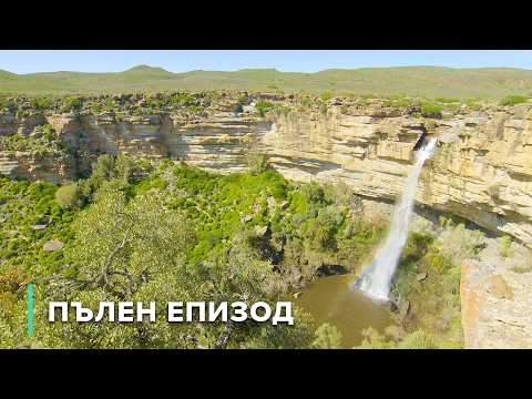 Видео: Пустинният цъфтеж в Намакуаленд | Скритите царства на Африка 104