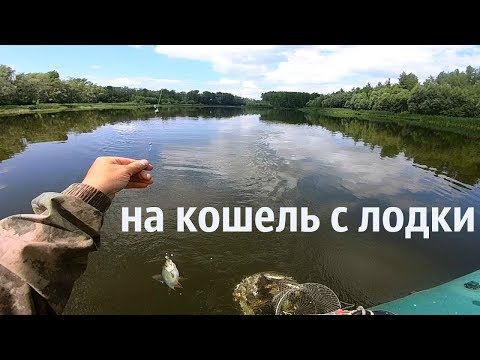 Видео: рыбалка с лодки на кошель