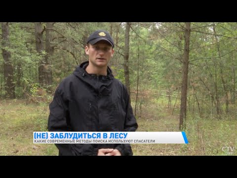 Видео: Что делать, если заблудился в лесу? Вот правила от спасателей, которые помогут выжить (СТВ)