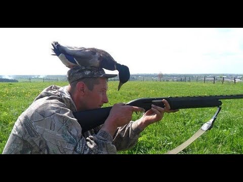 Видео: Охота приколы лучшее за всё время/ Приколы на охоте и рыбалке