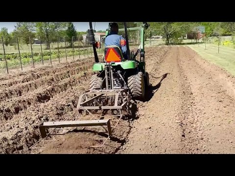 Видео: Джонни Ки — Подготовка и посев в саду [4 шага к посадке]