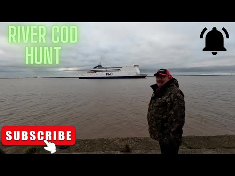 Видео: Ловля трески на реке Хамбер