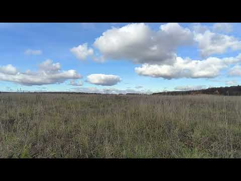 Видео: Поле. ч.7. Октябрь 2025