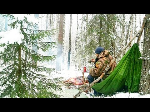 Видео: Тайга в начале зимы (прерванный рассказ)