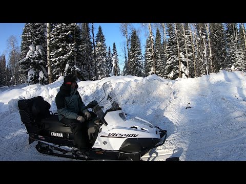 Видео: По тайге на снегоходах Yamaha Viking 540V / Жизнь в тайге