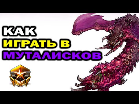 Видео: Как играть в муталисков за зерга в ZvZ StarCraft 2
