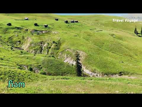 Видео: природа горной аджарии|nature of mountainous Adjara|იალაღი აჭარა ბეშუმი,თეთრობი,თაგო,ჩაო,უდე,батуми