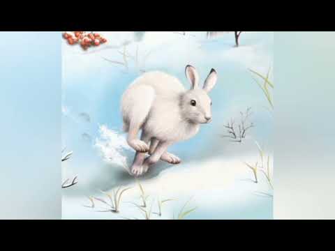 Видео: Орман жануарларының қысқы тіршілігі презентация