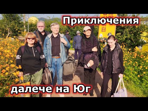 Видео: Приключения в мандаринова горичка далече на Юг 🍊🍋🍊