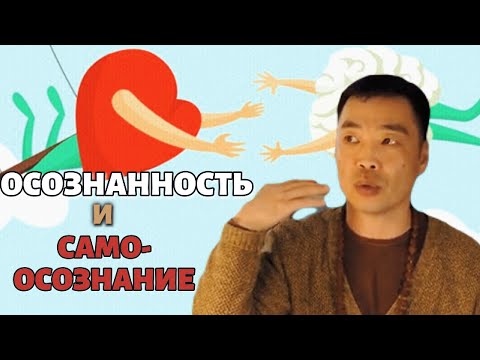 Видео: Самосознание пробужденного Сознания/Реальность или иллюзия? Rama Divine Leela.