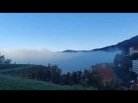 Видео: Пока все спят я как ежик в тумане.