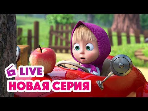 Видео: 🔴 ПРЯМОЙ ЭФИР! LIVE Маша и Медведь💥 НОВАЯ СЕРИЯ 💥 Машина машина 🚗🚦🐷