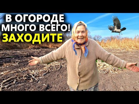 Видео: БАБУШКА БЫ НЕ ПУСТИЛА В ОГОРОД! УЗНАВ ЧТО НАЙДЕМ. Коп поиск монет 2022