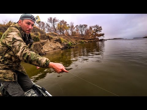 Видео: ВОТ ЭТО УЛОВ! ОСТАВИЛИ РЕЗИНКУ НА НОЧЬ БЕЗ ПРИСМОТРА. РЫБАЛКА ОСЕНЬЮ С ЛОДКИ.