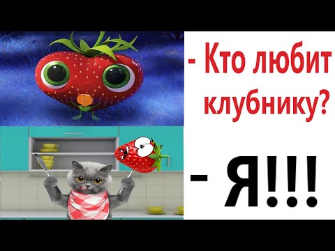 Видео: Лютые приколы. КОТ ЛЮБИТ КЛУБНИКУ!!! Тест на психику! Засмеялся проиграл! – Domi Show!