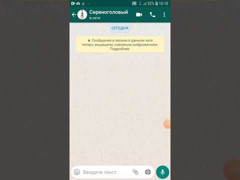 Видео: Переписка с Сиреноголовым.
