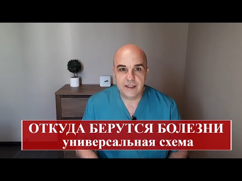Видео: Как возникает любая болезнь Подробное объяснение