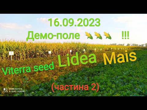 Видео: Огляд демо-поля 🌽🌽 2023! (частина 2)