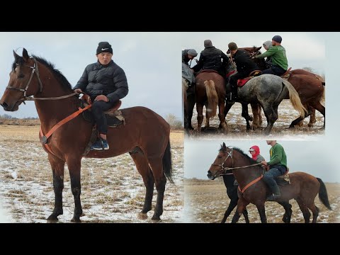 Видео: ЛИДЕР БУГУНКУ УЛАКТА САТУУГА ЧЫКТЫ БИШКЕК ЖААМАТ УЛАКТА