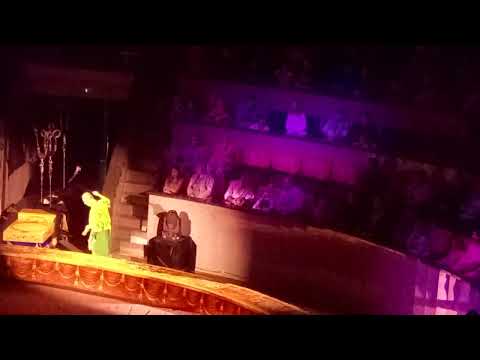 Видео: королевский цирк Новосибирск