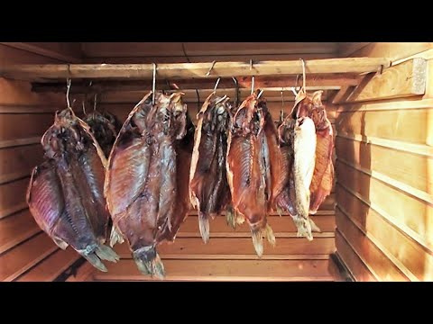 Видео: КАК ВКУСНО КОПТИТЬ РЫБУ / Рыба холодного копчения /  Копчёный КАРАСЬ в маринаде ! Smoked fish !