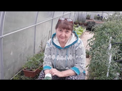 Видео: ВОЛШЕБНЫЙ ЧЕСНОЧо😉К!!!
РАСКРЫВАЮ СЕКРЕТ!!!