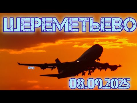 Видео: Споттинг в Шереметьево 08.09.2025