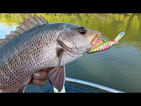 Видео: Даешь «Джекс»!