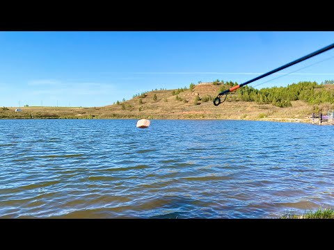 Видео: Отличная рыбалка на донки. Сазаны мощно тянут