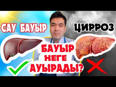 Видео: Бауыр ауруы белгілері. Бауыр ауырса не істеу керек? Бауыр ауруын емдеу. БЕКЗАТ дәрігерден кеңестер.