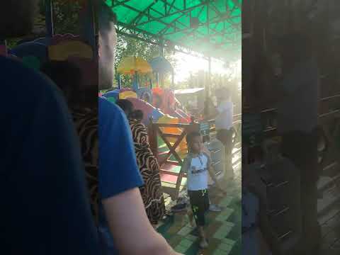 Видео: 3 ноября 2025 г.