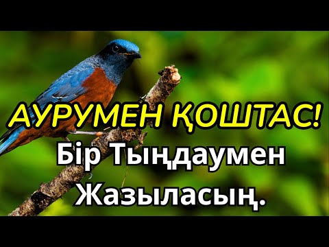 Видео: Қазір тыңда: Ауру бірден жоғалады, денсаулық қалпына келеді!