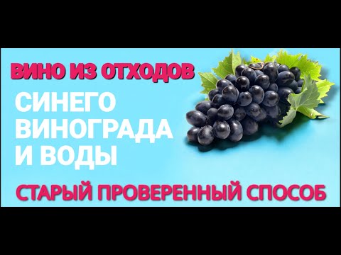 Видео: ВИНО из отходов синего винограда и ВОДЫ . Рецепт