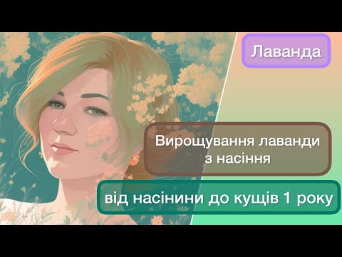 Видео: Вирощування лаванди з насіння. Догляд за саджанцями перший рік.
