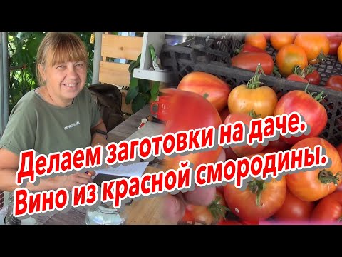 Видео: Делаем заготовки на даче  Вино из красной смородины