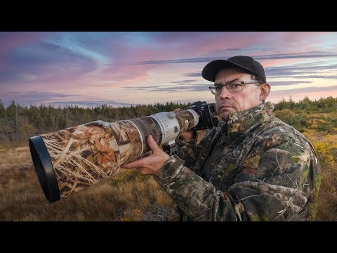 Видео: СОВЕТЫ И СЕКРЕТЫ УДИВИТЕЛЬНЫХ ФОТОГРАФИЙ ДИКОЙ ПРИРОДЫ!
