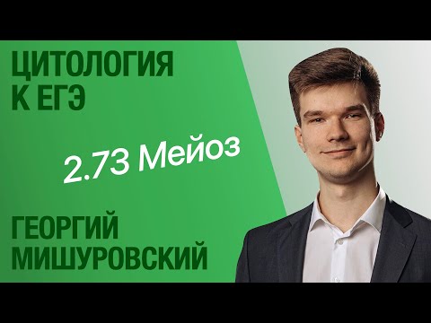Видео: 2.73. Мейоз | Цитология к ЕГЭ | Георгий Мишуровский