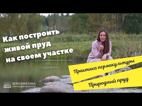 Видео: Живой пруд на вашем участке  как спроектировать и построить  На реальном примере