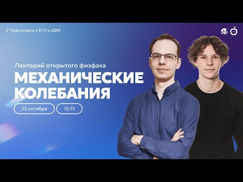 Видео: Механические колебания | Лекторий открытого физфака